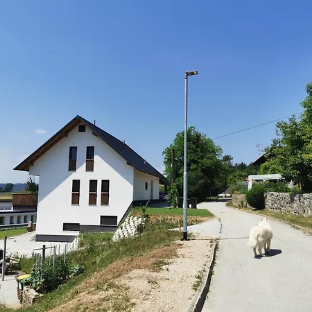 Apartament Apartma Gaber