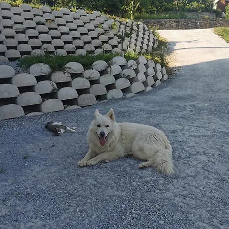 Apartma Gaber Διαμέρισμα