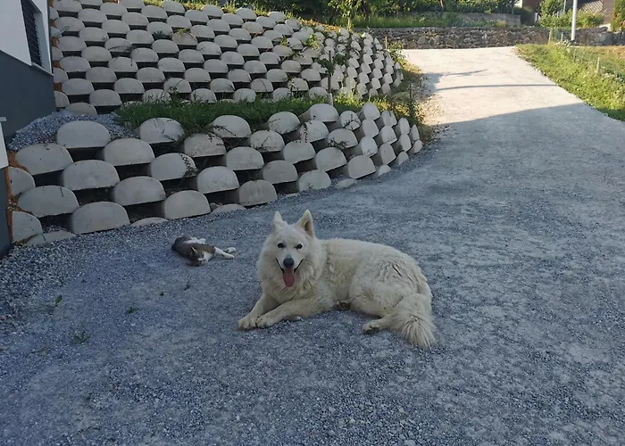 Apartma Gaber Διαμέρισμα